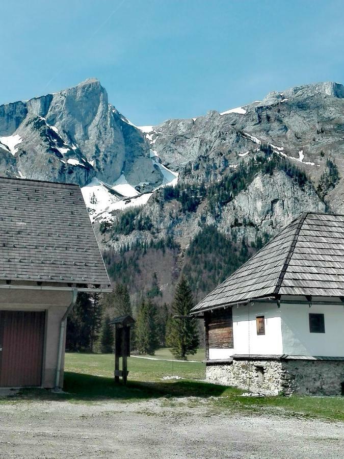 Pension Prem Kapfenberg Buitenkant foto